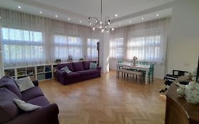 Spacious Apartment In The Heart Of The City